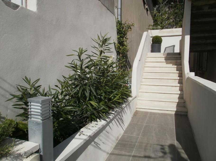 阿维尼翁新城Duplex Face Au Palais Des Papes公寓 外观 照片